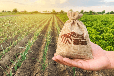 gestao-de-agronegocio-o-que-e-e-por-que-fazer-um-mba