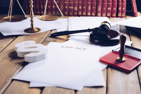 Saiba quais sãos os princípios do Direito Administrativo