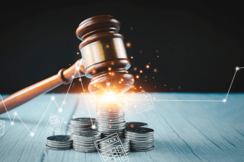 Direito financeiro: o que é e onde atuar