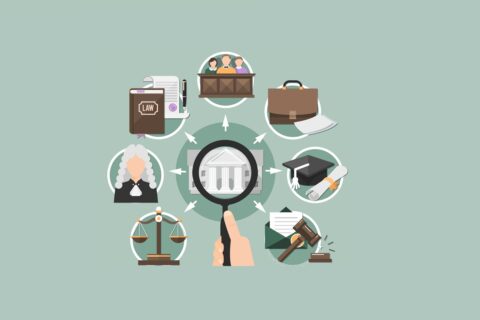 12 Tipos de Direito: quais são as principais áreas que você pode atuar?