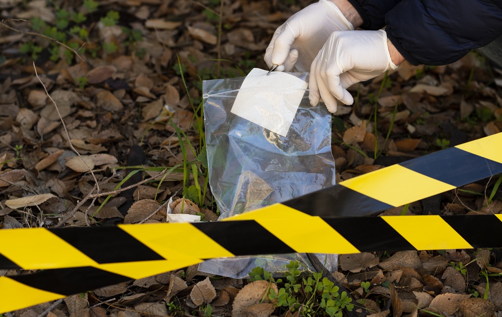 Quem faz direito pode ser perito criminal?